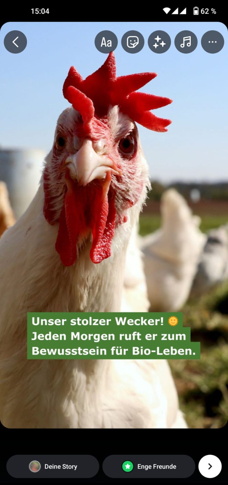 narraflix-story-instagram-teilen